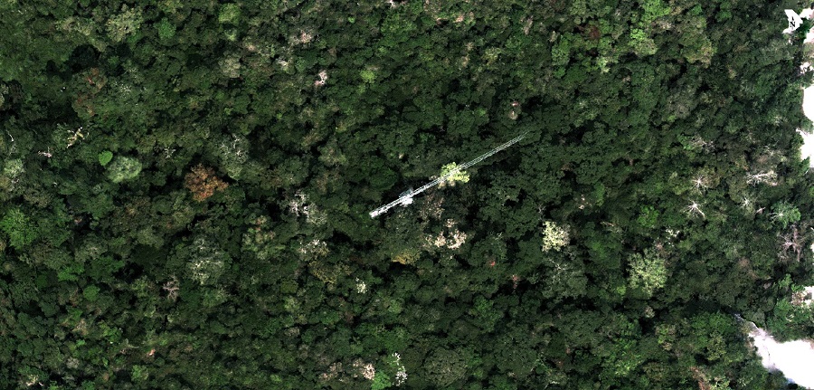 z6com·尊龙CW航磁系统