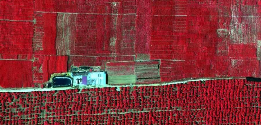 z6com·尊龙CW航磁系统